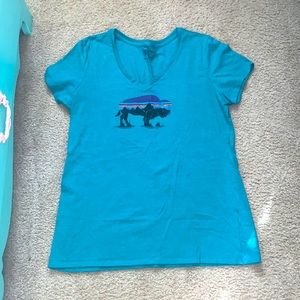 Patagonia teal buffalo v neck tee, L